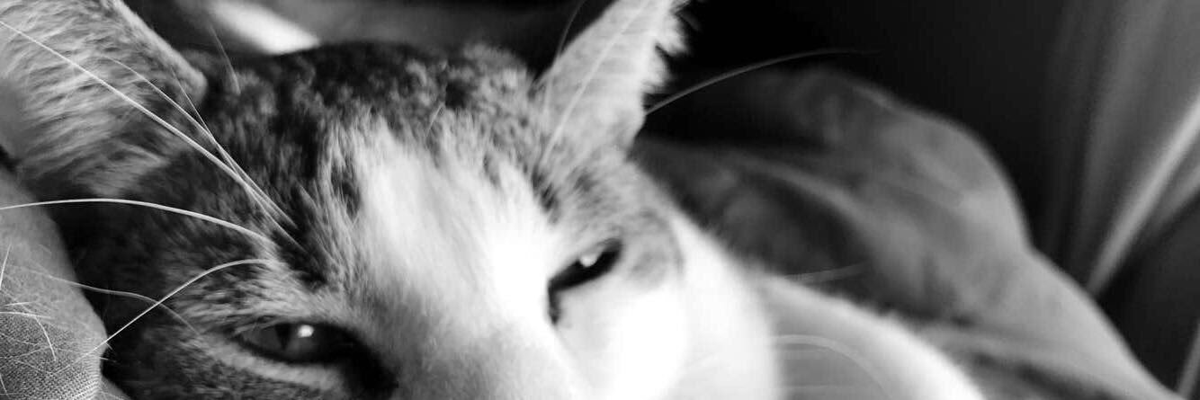 BUSSta_Move's profile banner image