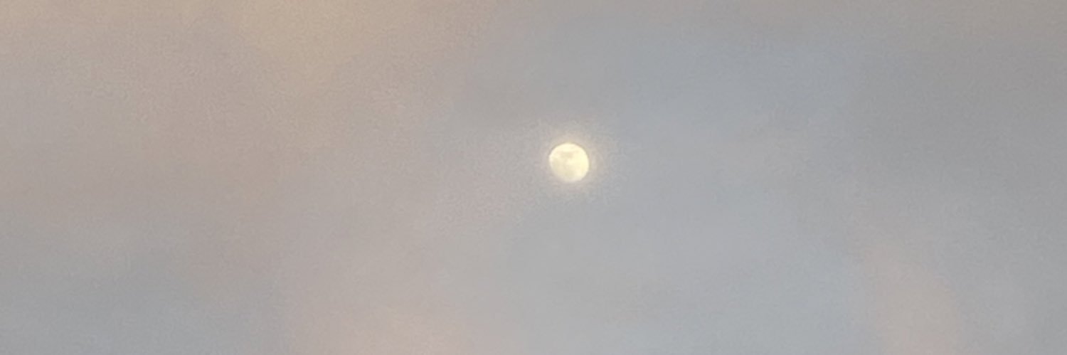 4444 banner