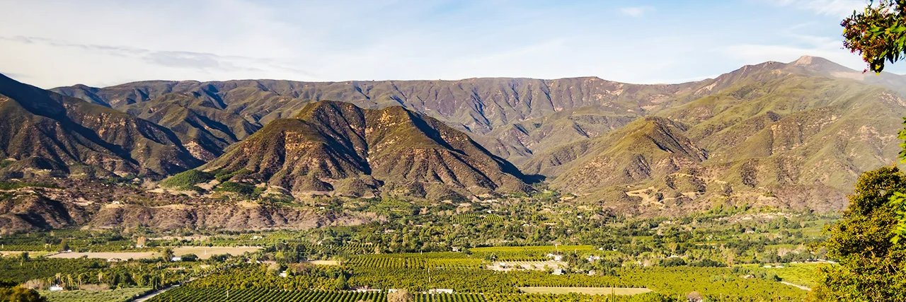 LifeisGood Capital banner