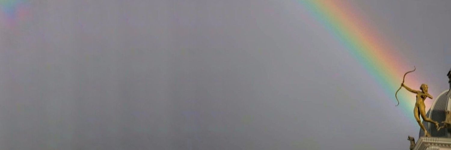 _Tekgull's profile banner image