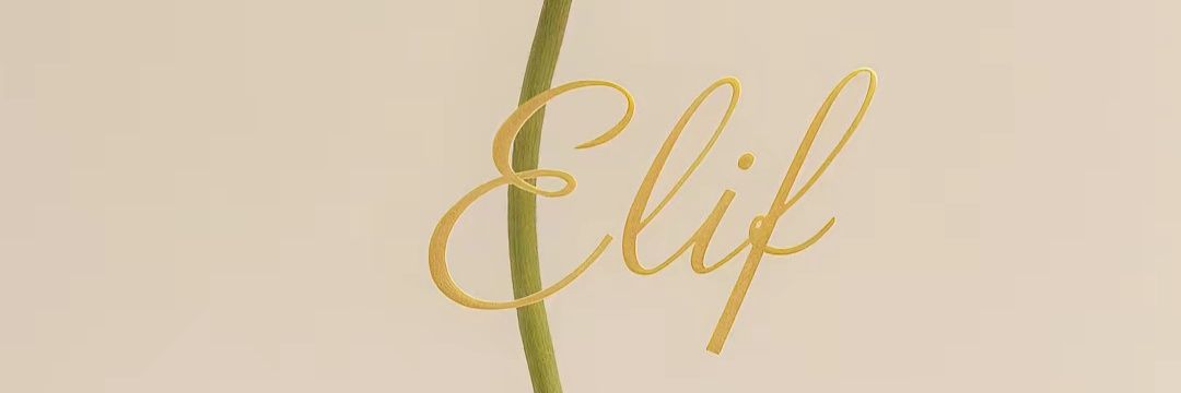 a_zilann's profile banner image
