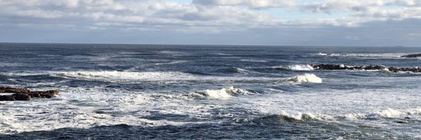SheldrickCathy Profile Banner