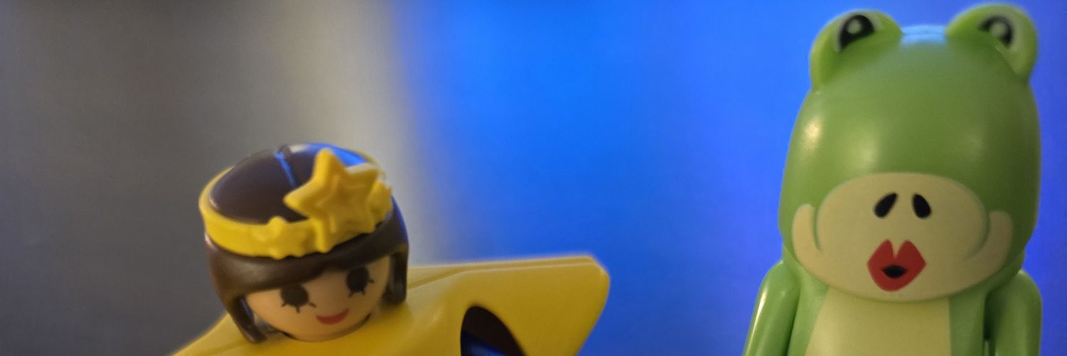 B. Sammelbegriff🏳️‍🌈🌈💚 banner