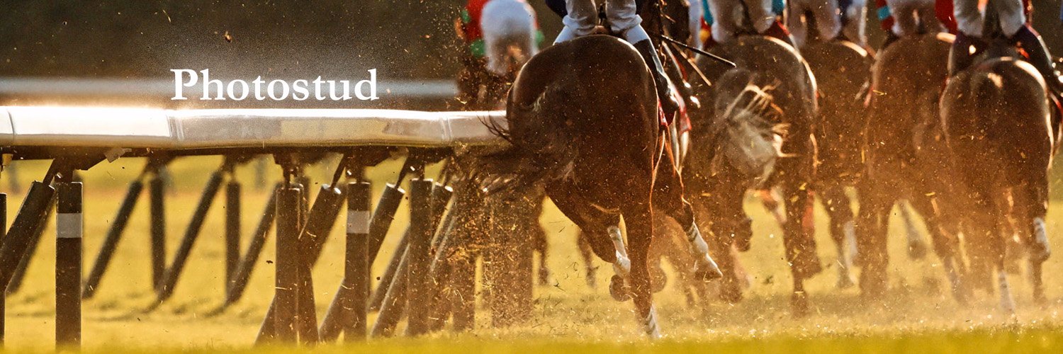 Photostud_s's profile banner image