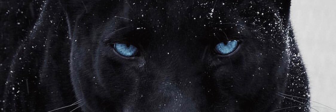 AaronMoncada07's profile banner image
