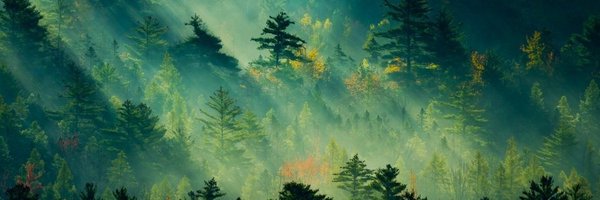 a____capo Profile Banner