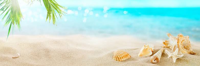 ちゃあ banner