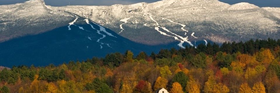 Tim_Mackintosh's profile banner image