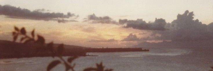 Ντεσπόντοβα banner