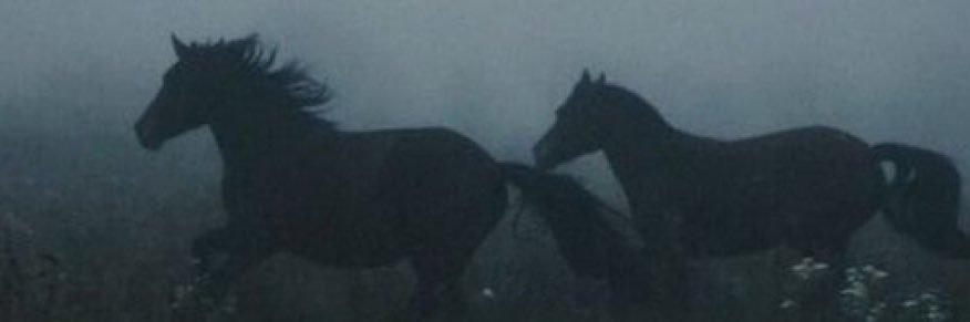 journey to the moon banner