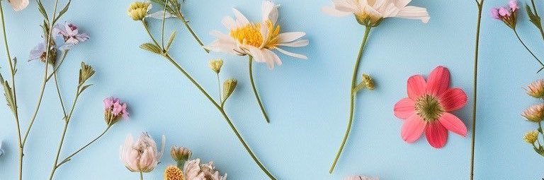 Agus banner