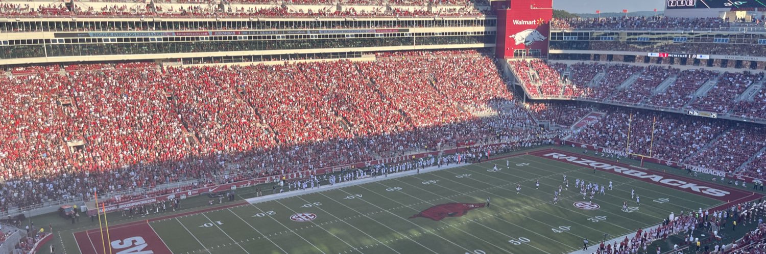 RAZORBACK CHICKS banner