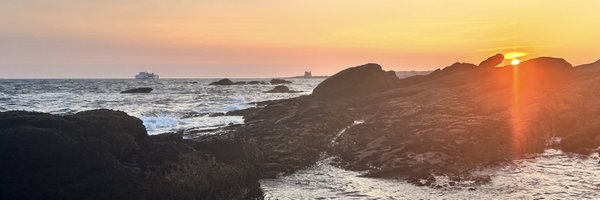 LlSTlNG56 Profile Banner