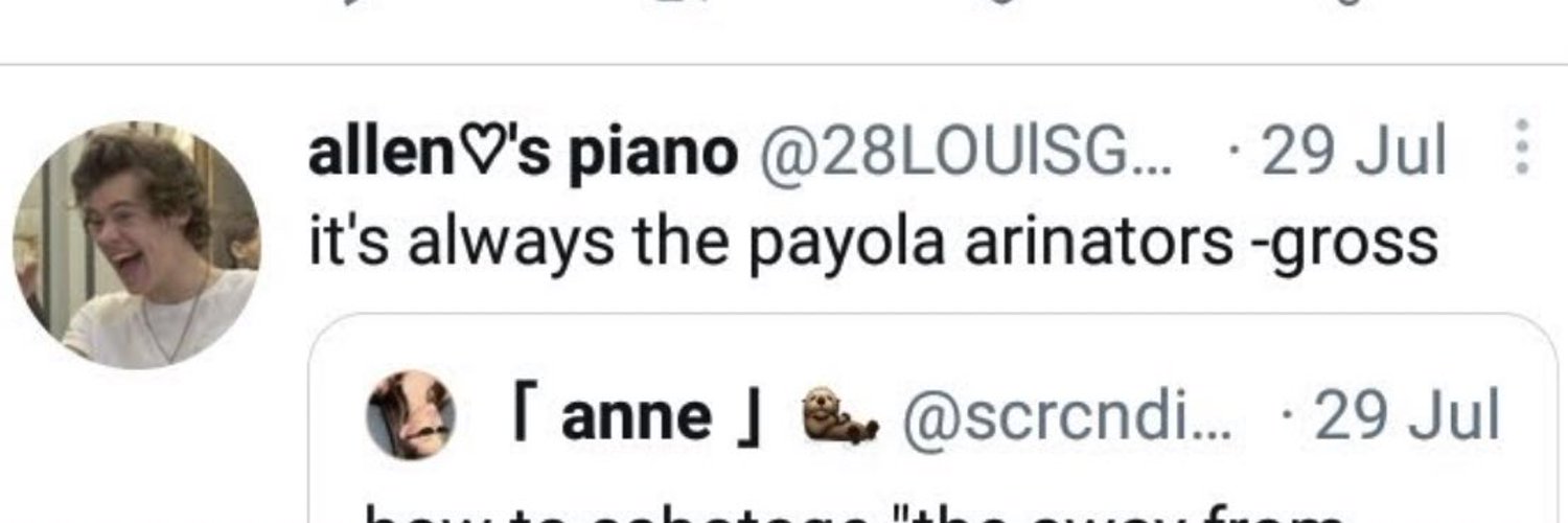 scrcndipitii's profile banner image