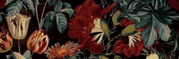 dcoll2710 Profile Banner