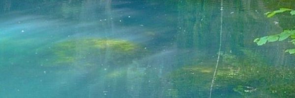 VolpesLetum Profile Banner