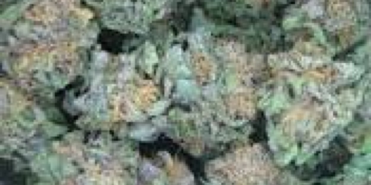 BEN G banner