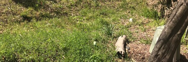 KoutaOnaga Profile Banner