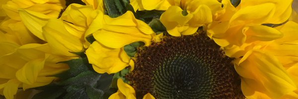 janden551 Profile Banner