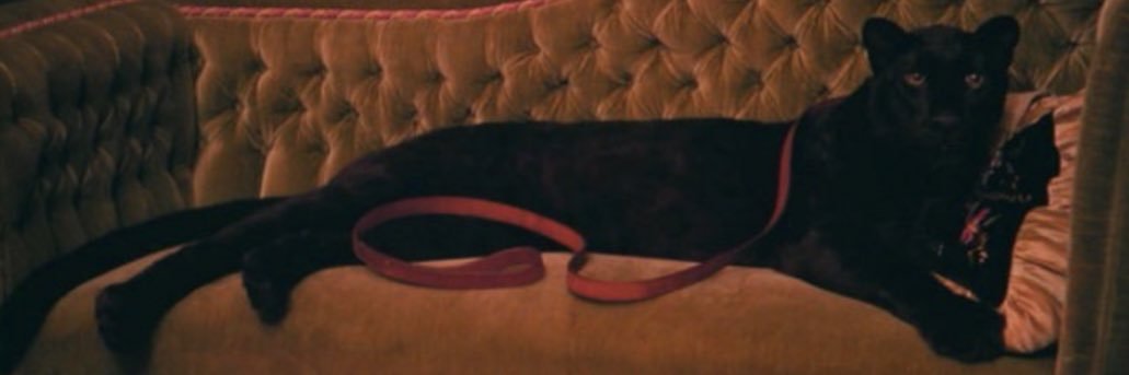 l79ll's profile banner image