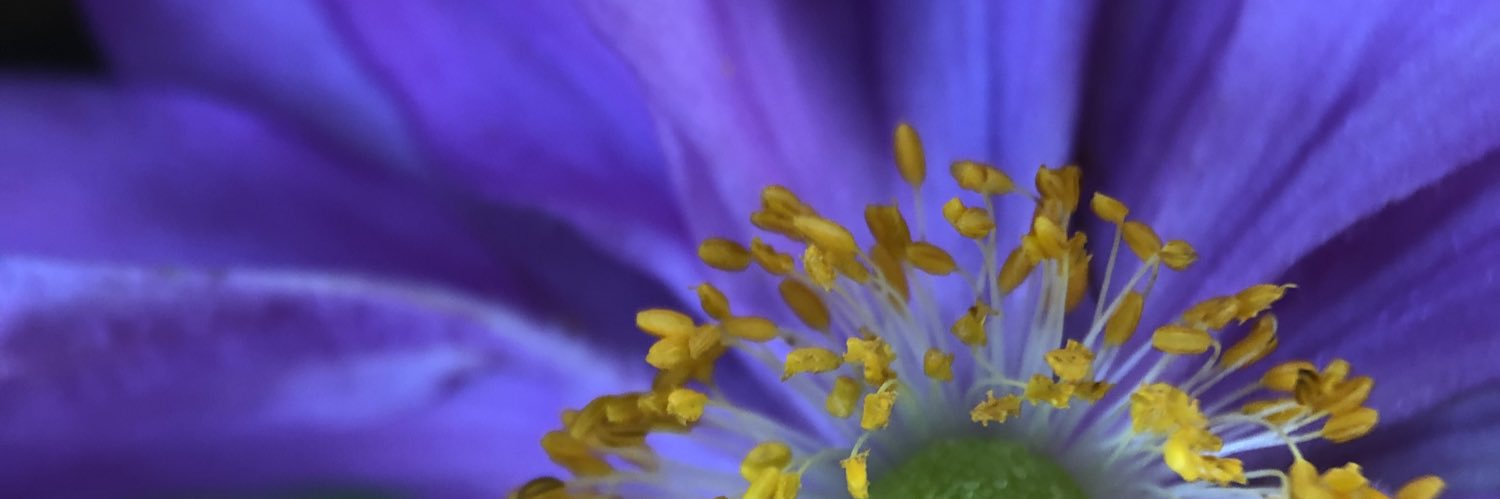 Uvinie's profile banner image