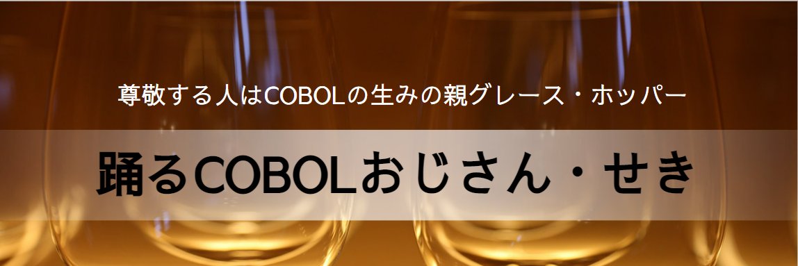 COBOL_SEKI's profile banner image