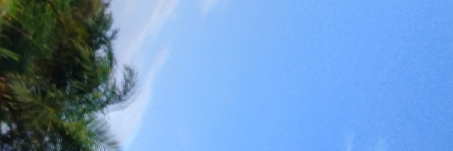 ray_hendri's profile banner image