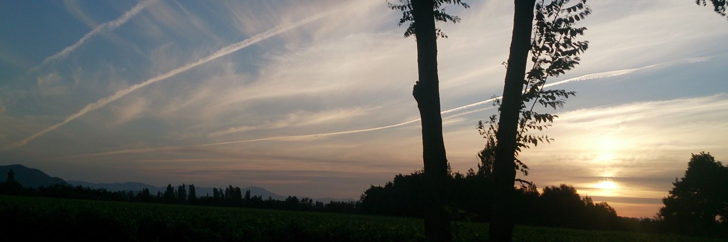canigoax's profile banner image