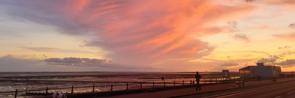 benguti Profile Banner