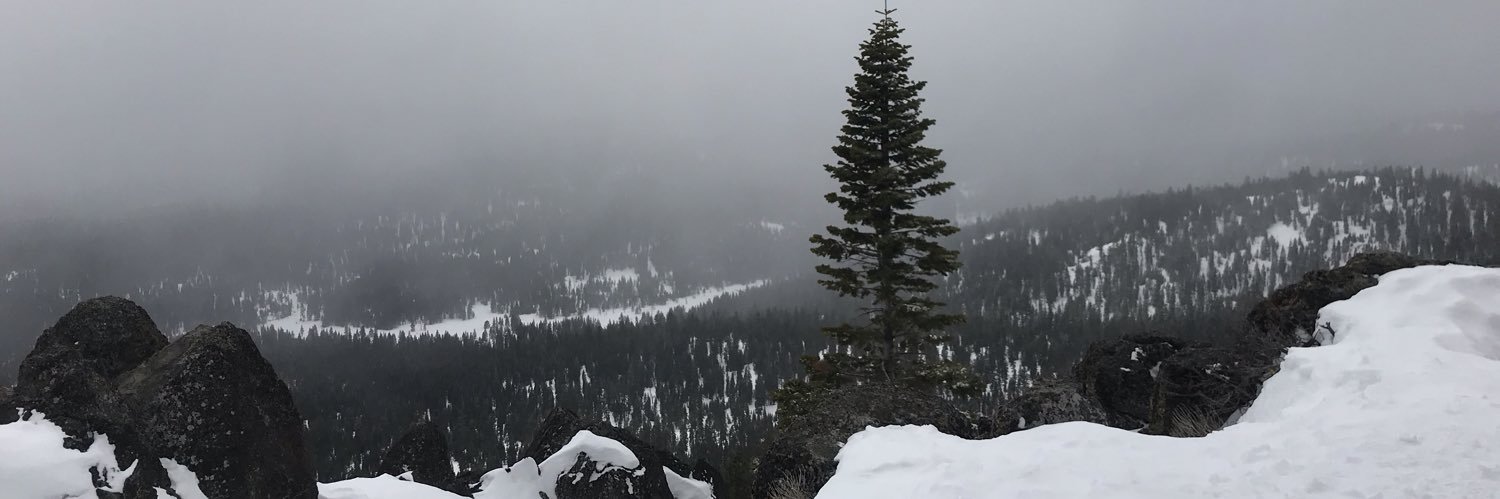 ogbrewer's profile banner image