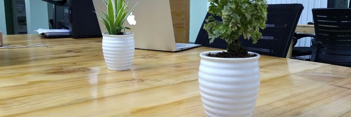 softscripts's profile banner image