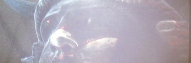 jxchrist's profile banner image