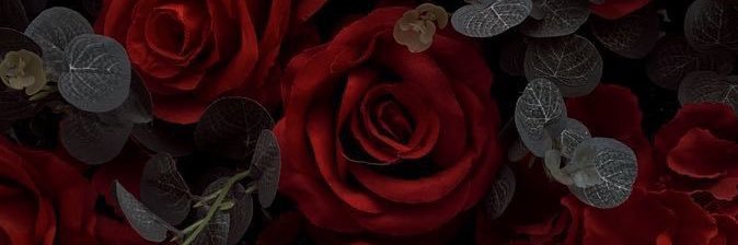 louudm29's profile banner image