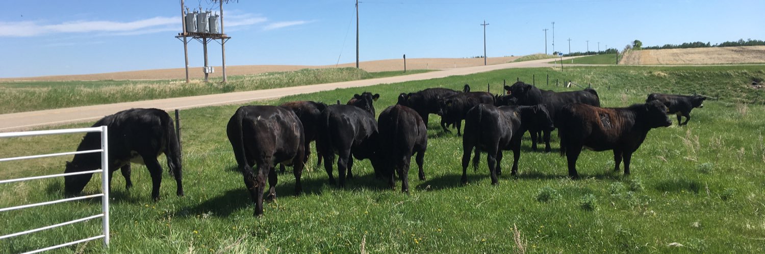 Derek Benedict banner