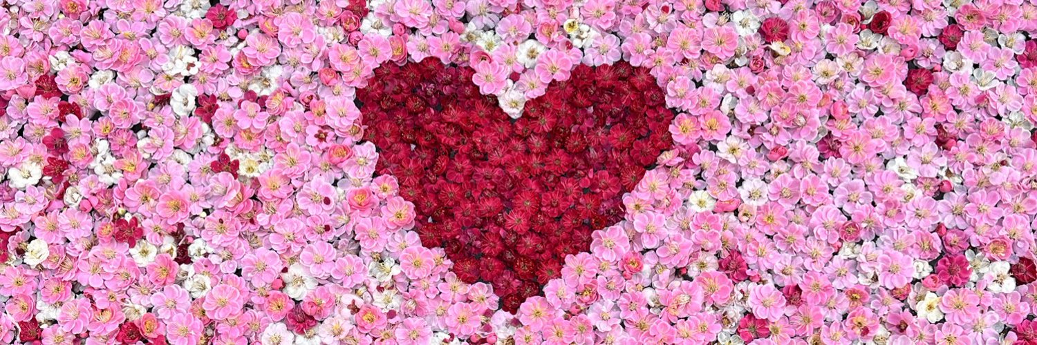 rr_8282's profile banner image