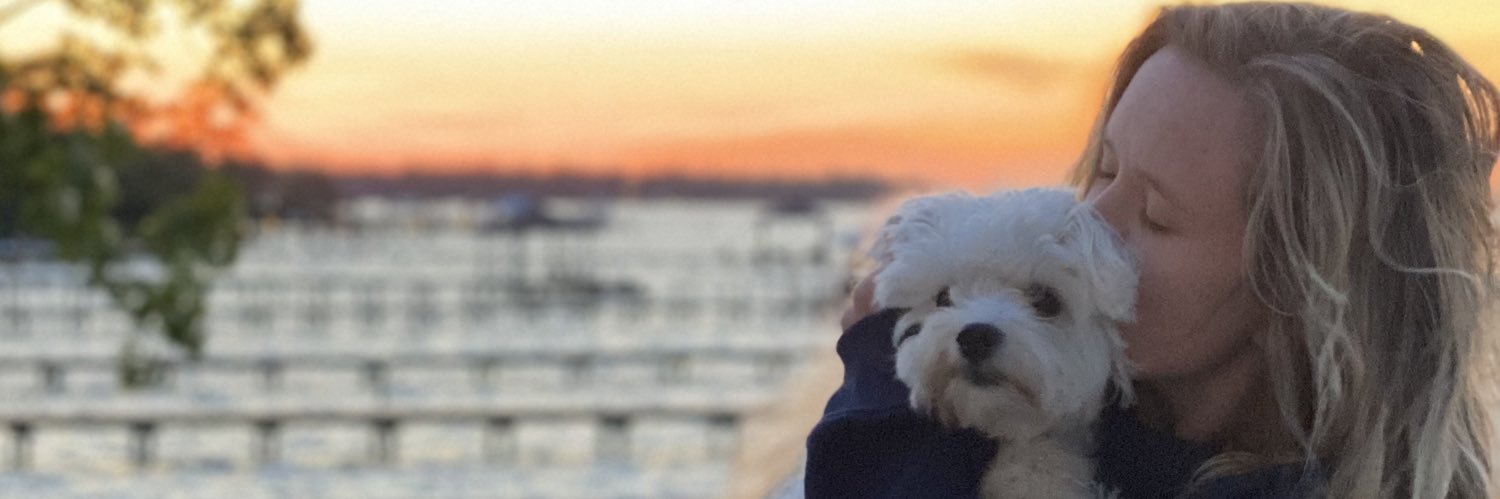 MacyVickers's profile banner image