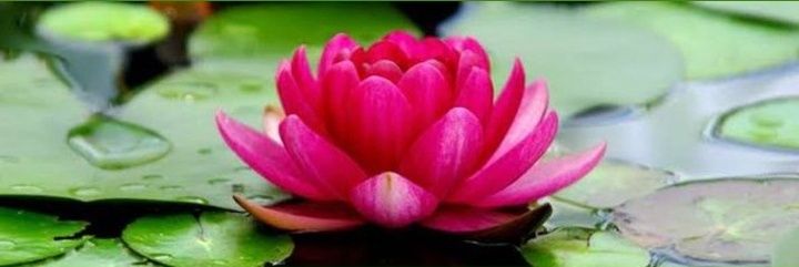 Ishotosh Deb🙏🚩 banner