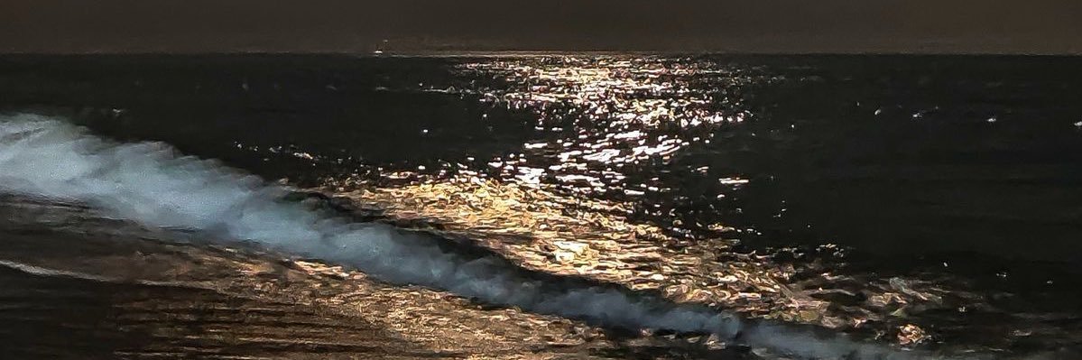 _BirdSetFree's profile banner image