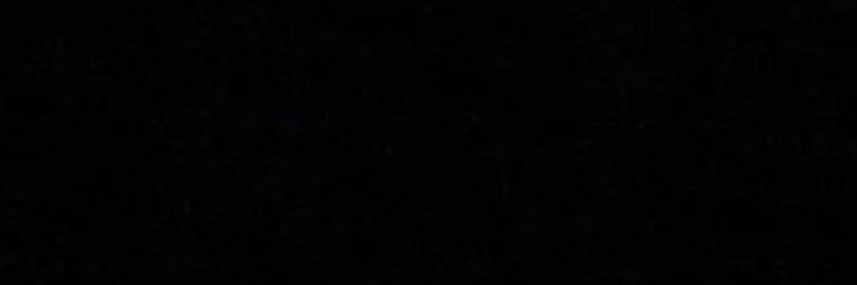 4lokostype's profile banner image