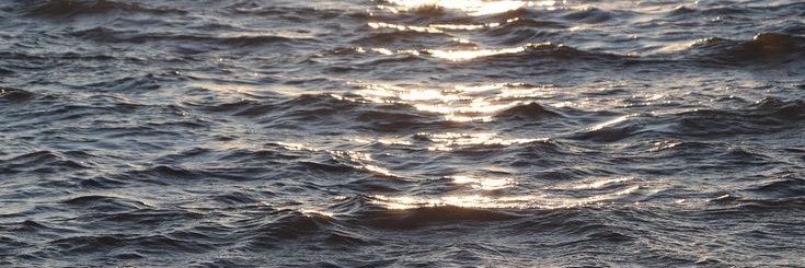 aalgass's profile banner image