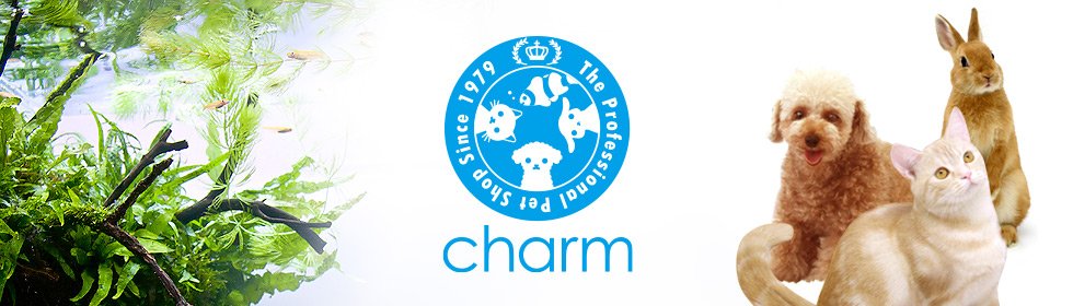 チャーム公式 banner