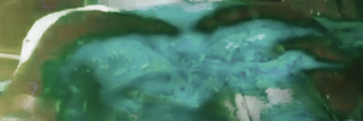 gungamcgee's profile banner image
