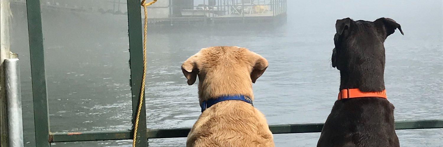 CabbageAlley's profile banner image