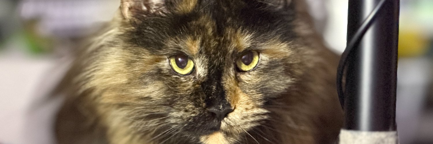 Becka | UGC Creator banner