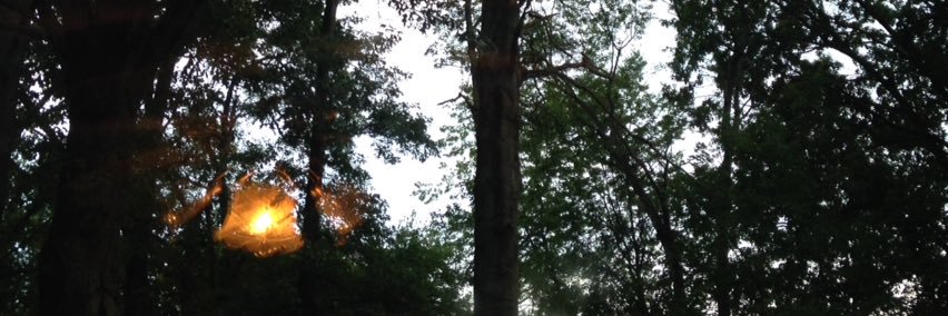 JaynaBorders's profile banner image