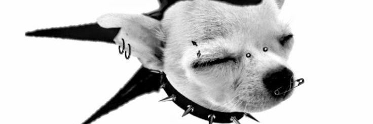 ☽𝔅𝔦𝔱𝔢 𝔐𝔢☾ banner