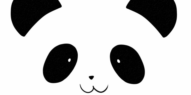 asridwil's profile banner image