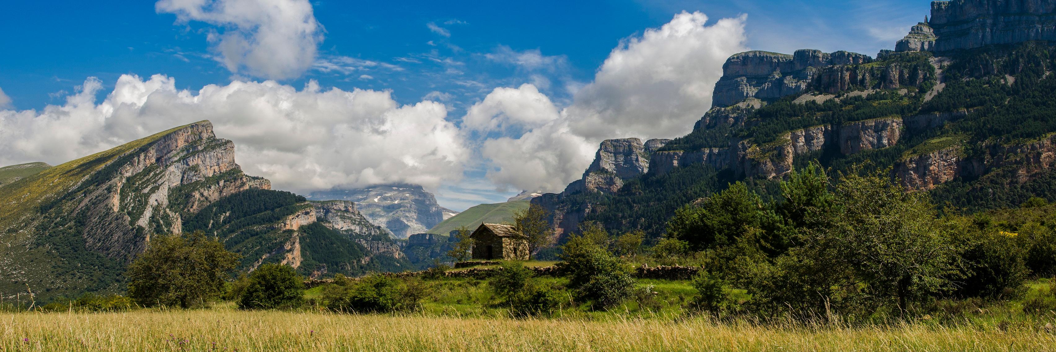 Jesús Lopez Angulo banner