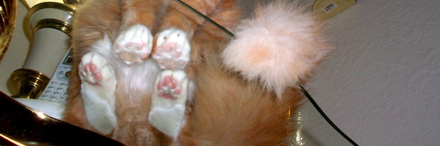 ha_jz2's profile banner image