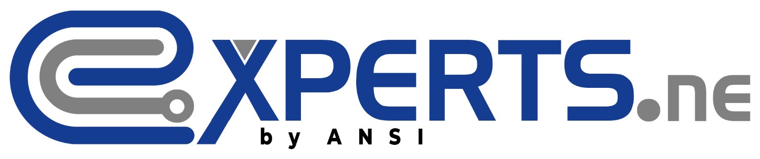 ExpertiseNiger's profile banner image